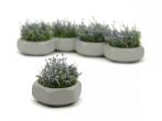   Hexagonal concrete flower box, painted livery with flowers (5 pcs.)